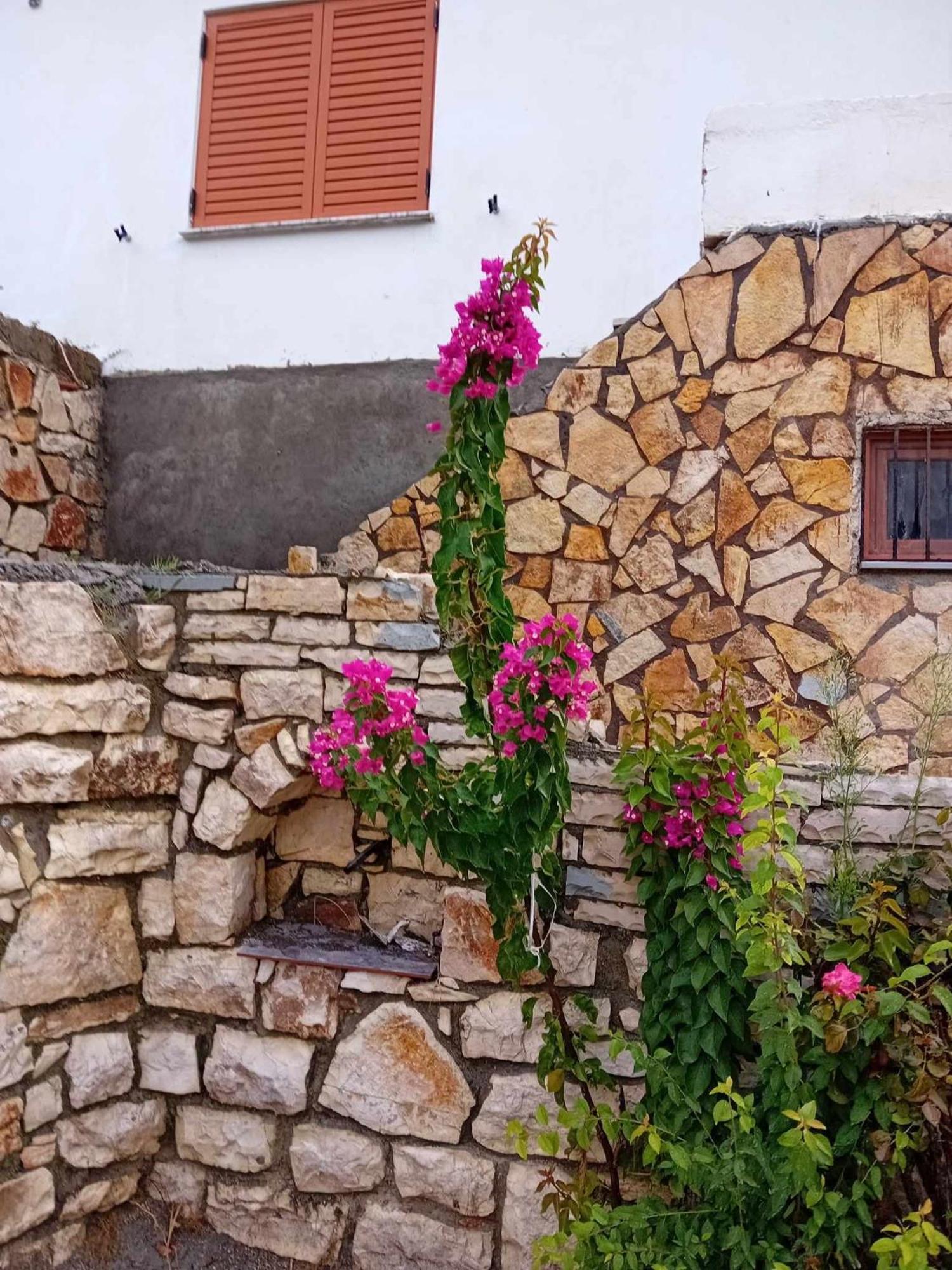 Villa Romario بيرات المظهر الخارجي الصورة